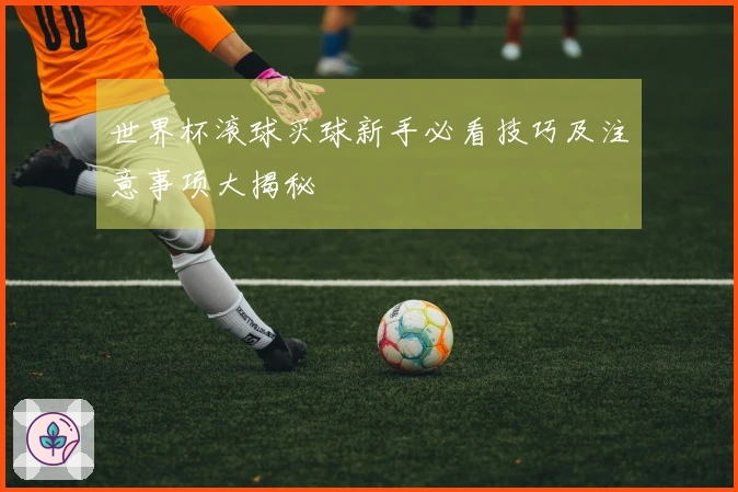 世界杯滚球买球新手必看技巧及注意事项大揭秘