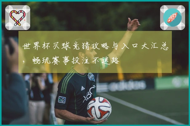 世界杯买球竞猜攻略与入口大汇总，畅玩赛事投注不迷路
