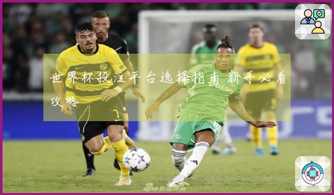 世界杯投注平台选择指南 新手必看攻略