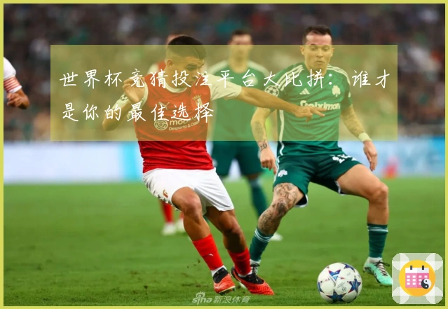 世界杯竞猜投注平台大比拼：谁才是你的最佳选择