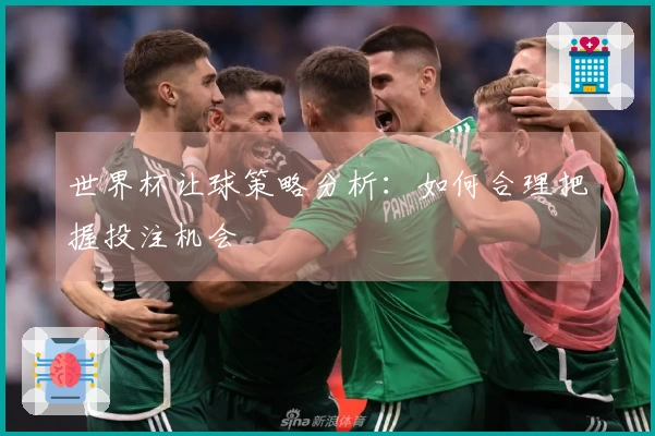 世界杯让球策略分析：如何合理把握投注机会