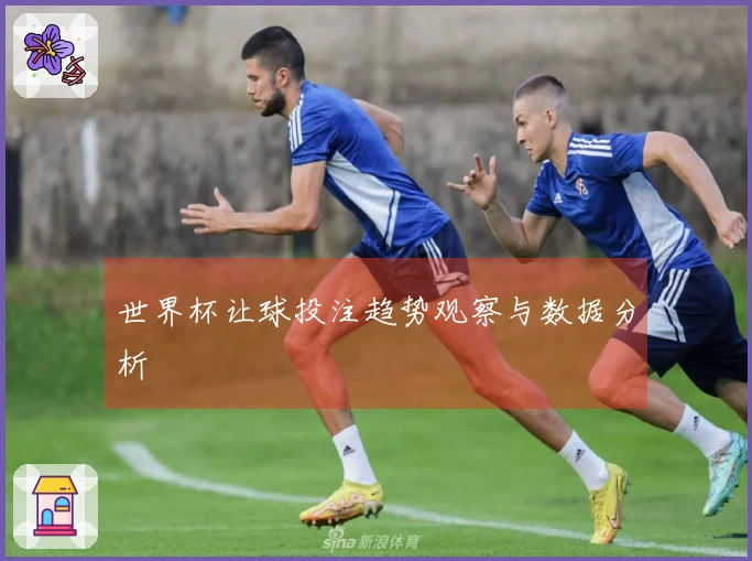 世界杯让球投注趋势观察与数据分析