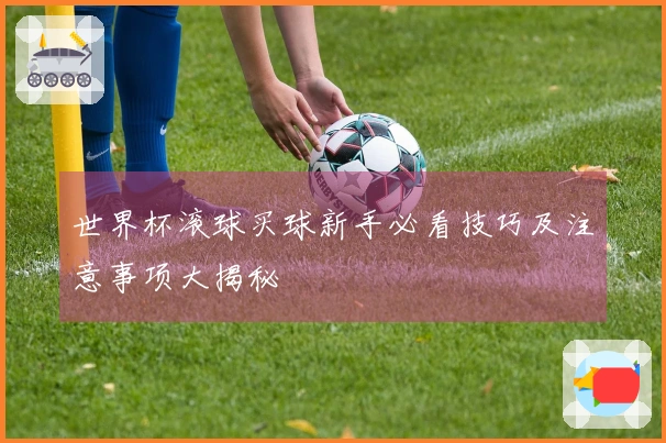 世界杯滚球买球新手必看技巧及注意事项大揭秘