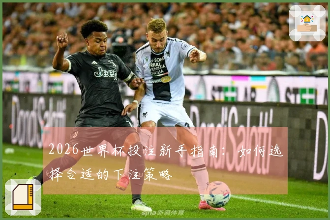 2026世界杯投注新手指南：如何选择合适的下注策略